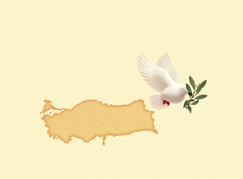 A dove with an olive branch flying over a map of Turkey, symbolizing the hope for peace and stability in the region.