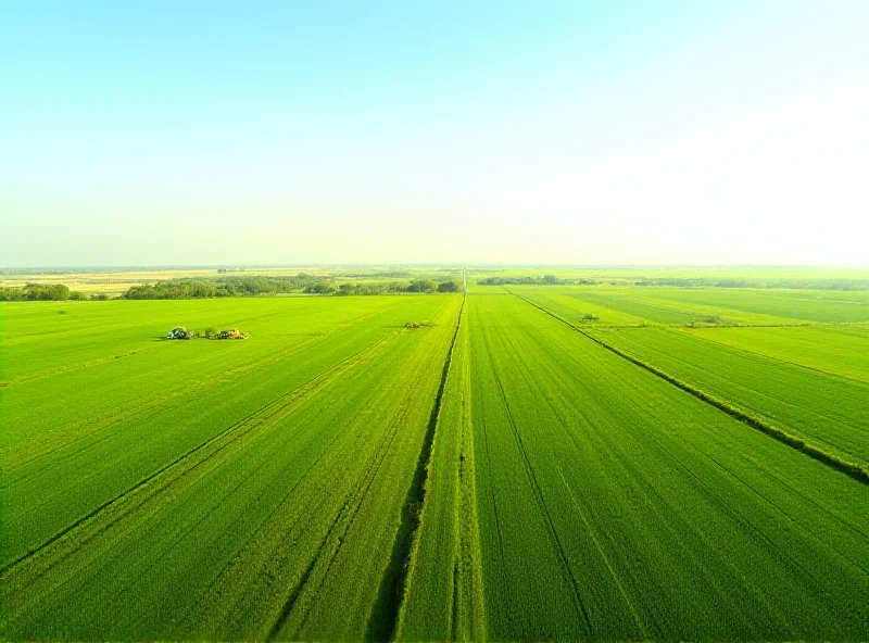 A panoramic view of vast agricultural fields in Turkmenistan, showcasing the accelerated sowing campaign and efforts to bolster agricultural yields.