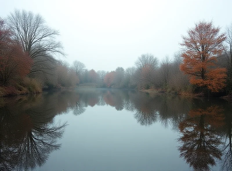 A somber image of Kingsley Pond on a cloudy day.