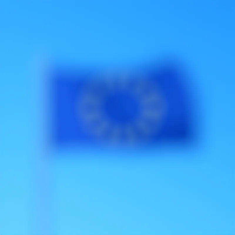 European Union Flag